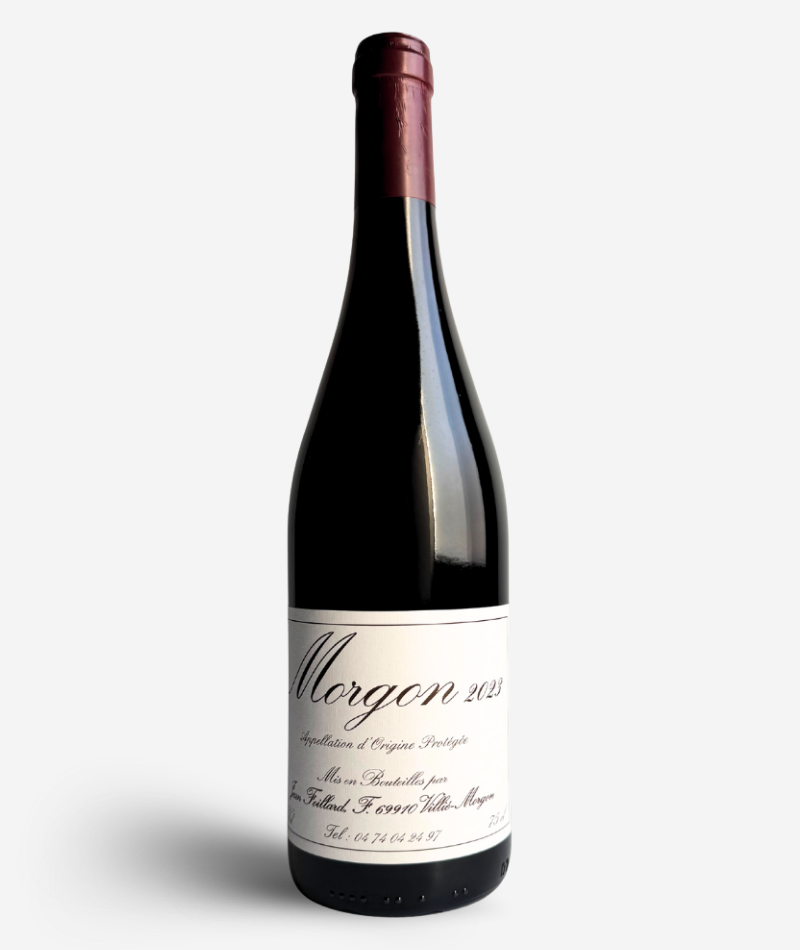 2023 Morgon Domaine Jean Foillard