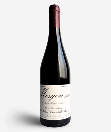 2023 Morgon Domaine Jean Foillard