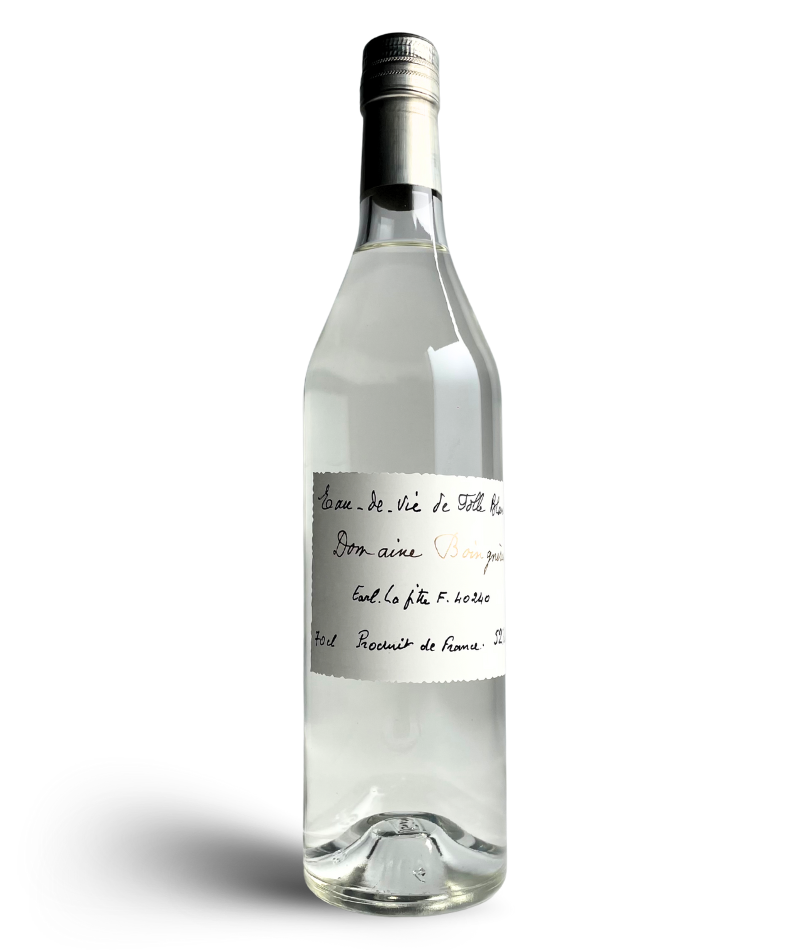 SA Eau de Vie de Folle Blanche Domaine Boingnères