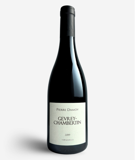 2019 Gevrey Chambertin Domaine Pierre Damoy
