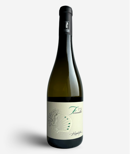 2024 Ventoux Blanc "Hippolyte" Domaine de Fenouillet